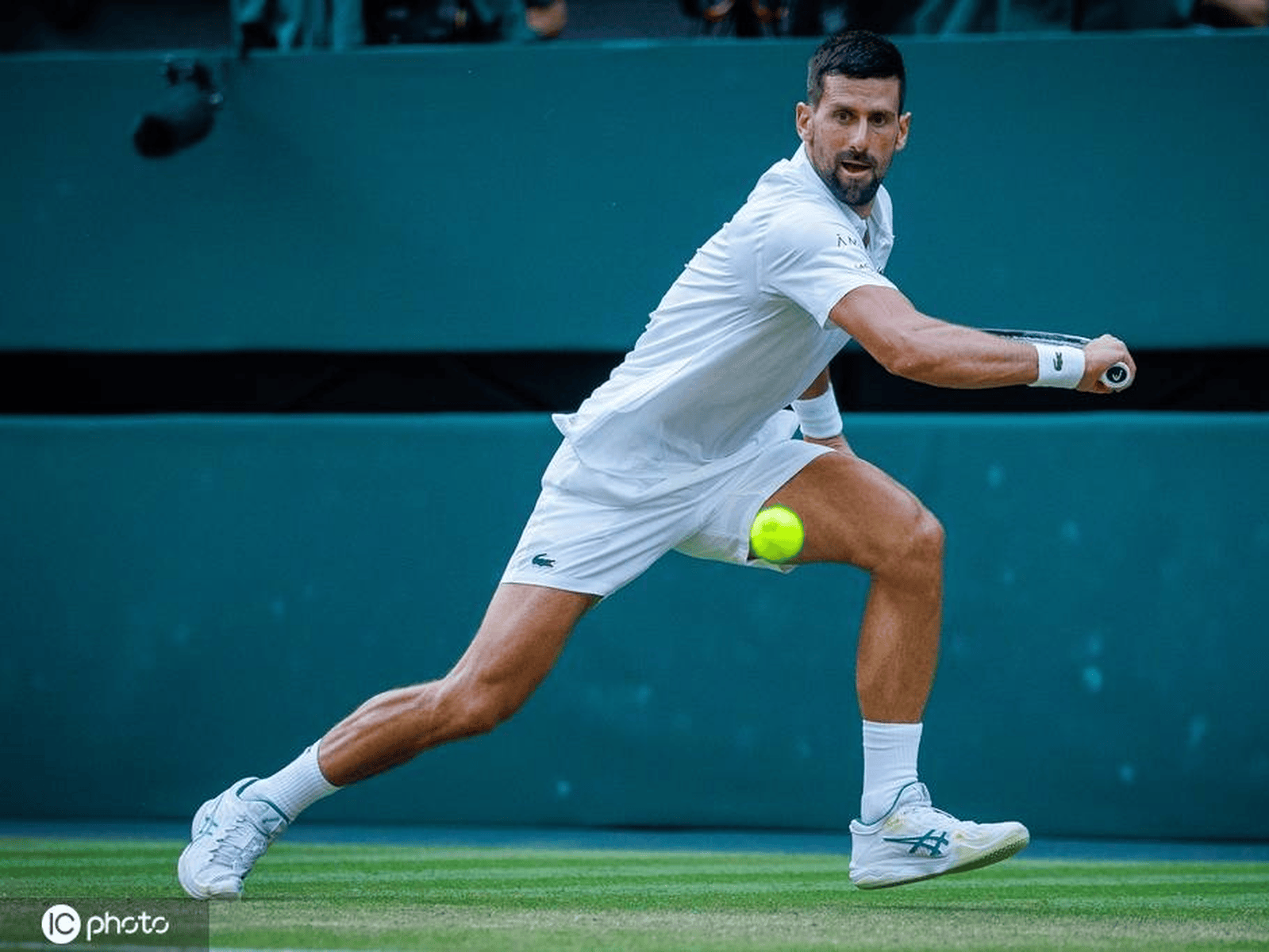 年终总决赛轻取联合杯，德约科维奇状态火热