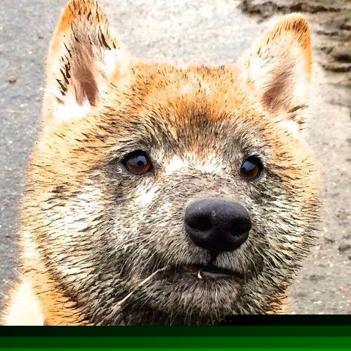 布克世界排名争夺战接管比赛，热火打穿活塞展现唯一性