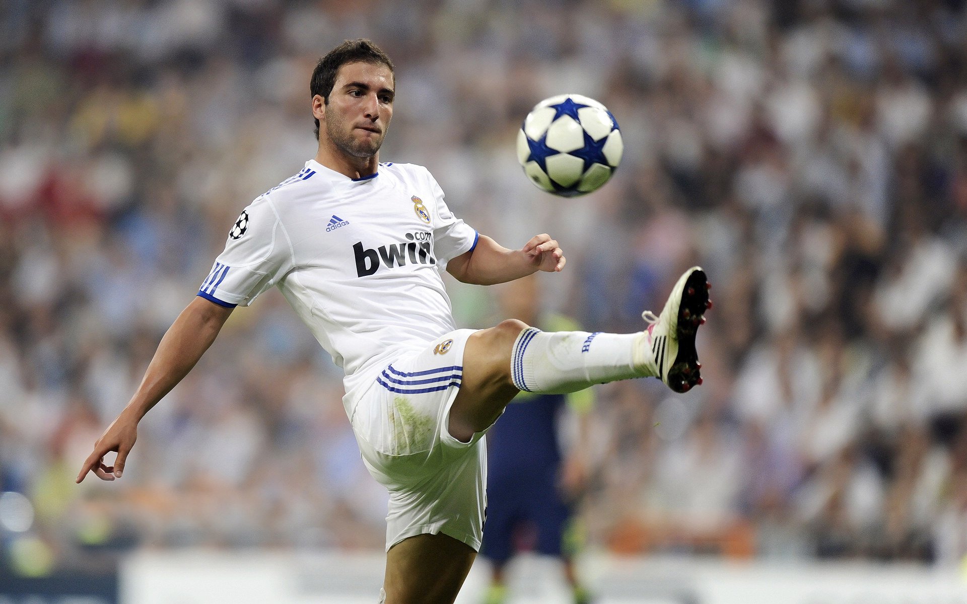 赛道与球场，当F1争冠焦点遇上CBA生死战